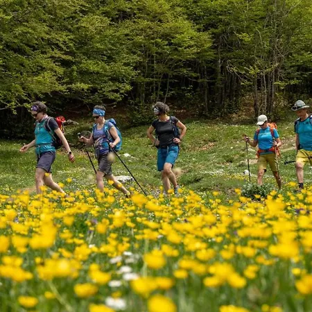 Il Pettirosso Pollino 3* Rotonda