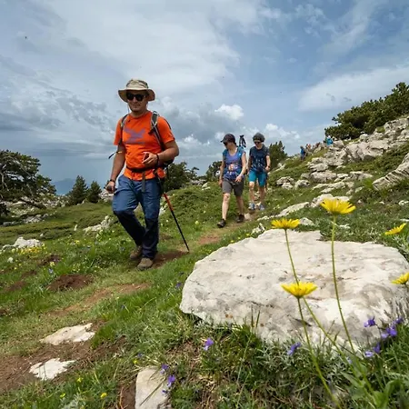 Il Pettirosso Pollino Bed & Breakfast Rotonda